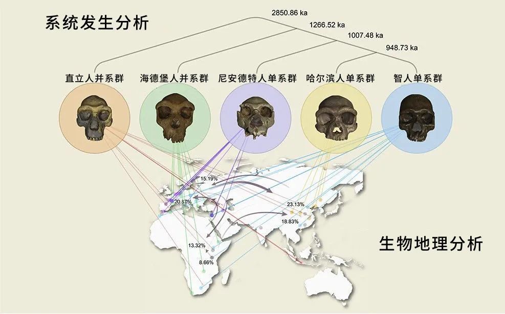 人类发源地认定,科学家确定人类的发源地