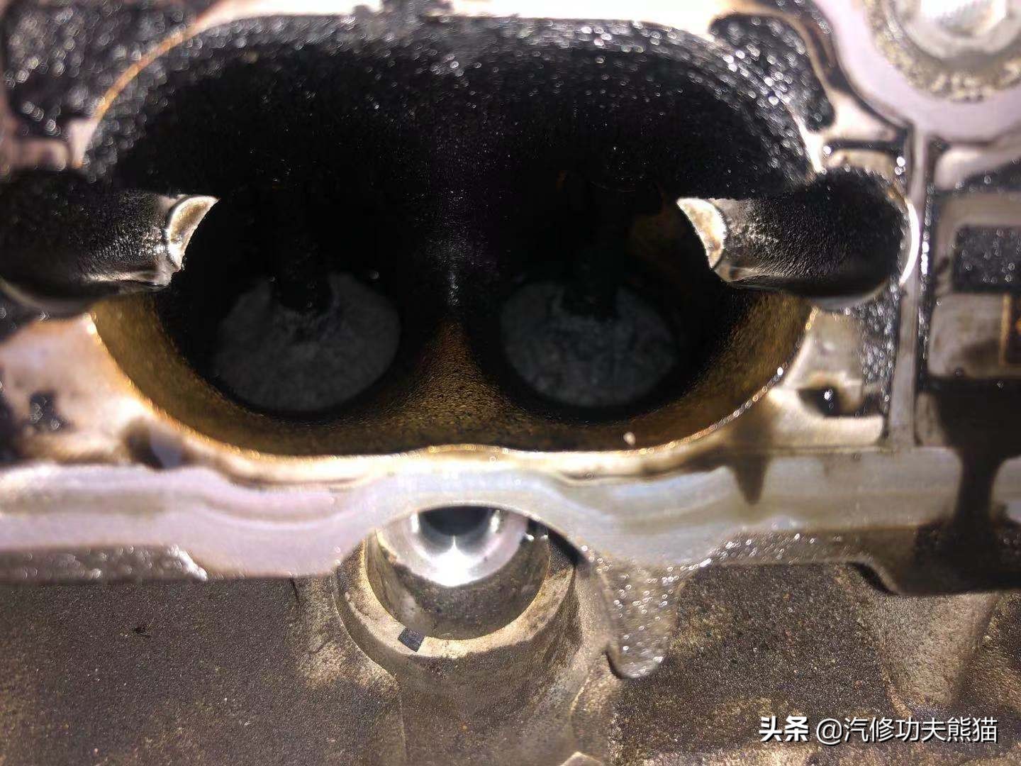 百年大众汽车品牌毁于烧机油?烧机油并非绝症,看看这台进口夏朗