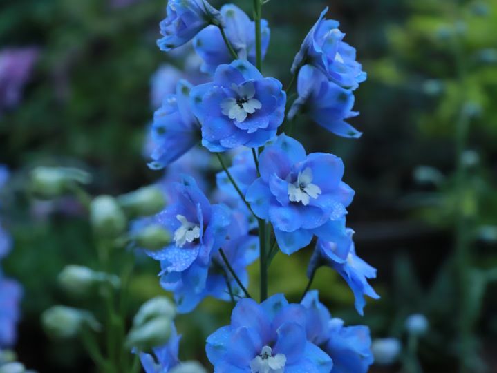 中考语文作文押题2023素材,中考作文2021满分作文关于爱