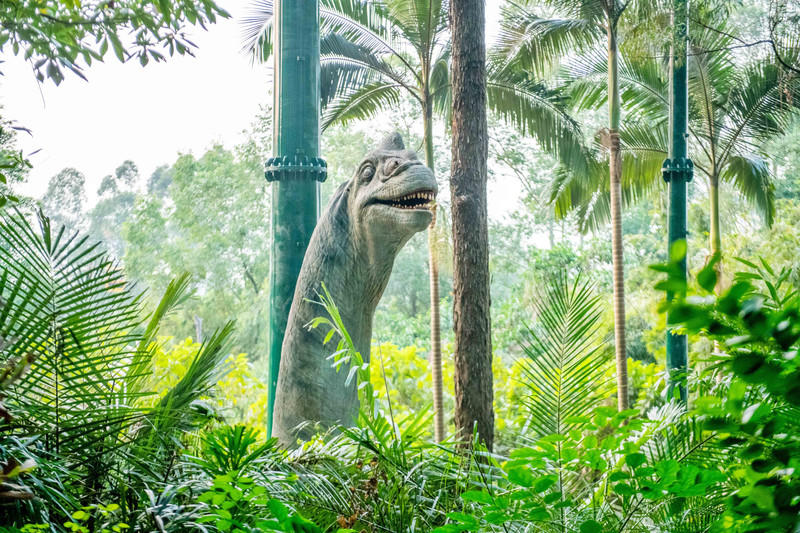 玩转广州长隆野生动物世界之行,广州长隆动物世界游玩攻略图