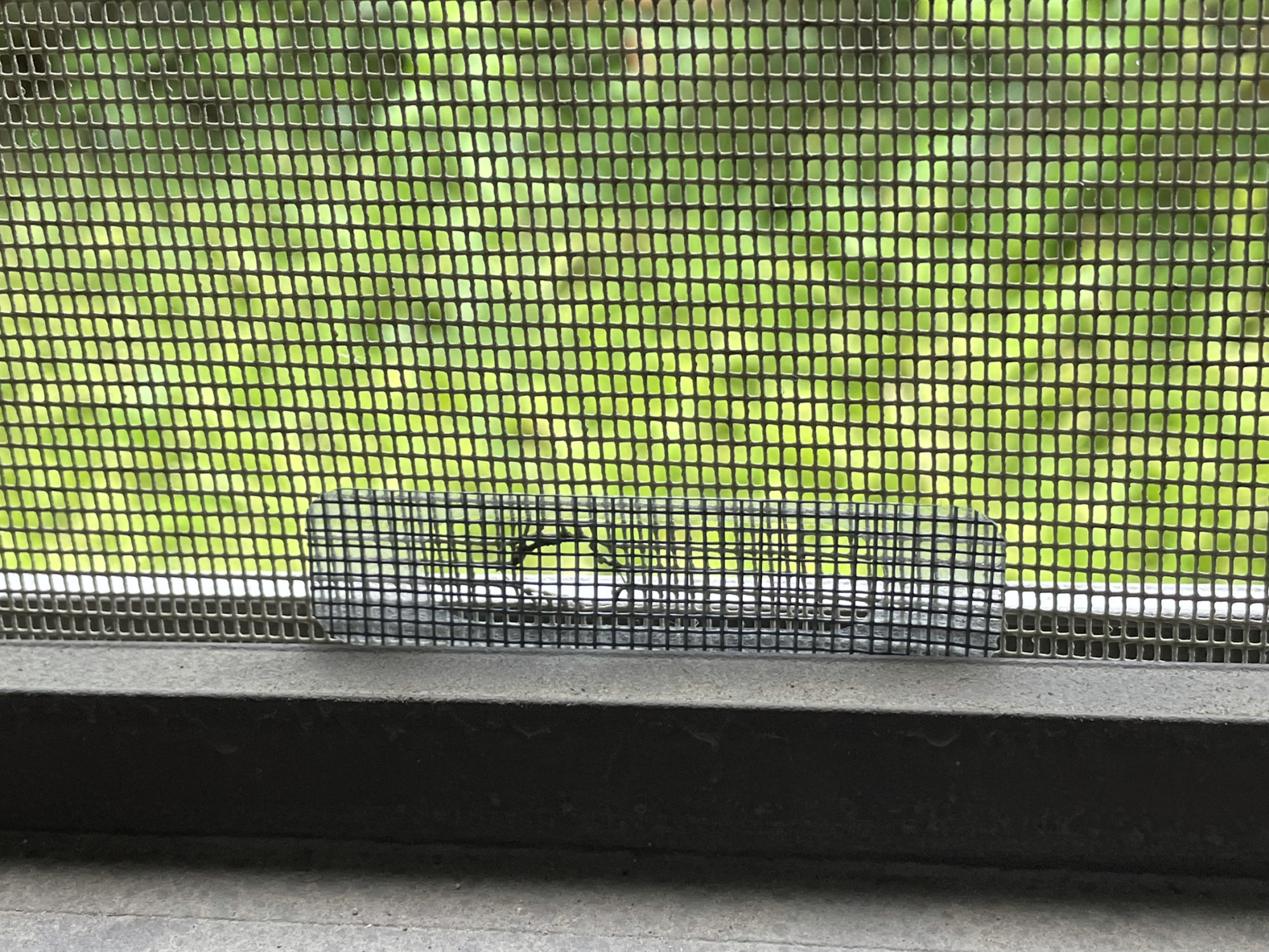 实用又好看的家居物件,好看又实用的家居物件