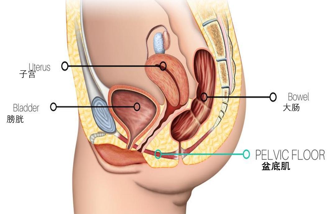 三个妈妈里，就有一个尿*禁失**