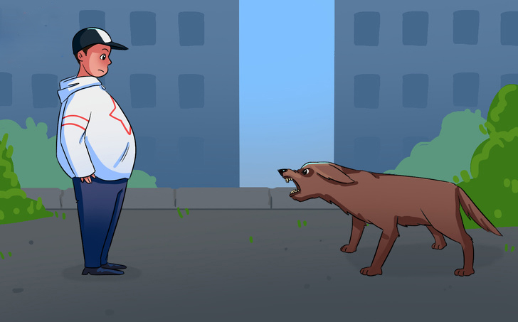 如果被流浪狗咬了怎么办,如果在路上遇见流浪狗怎么处理