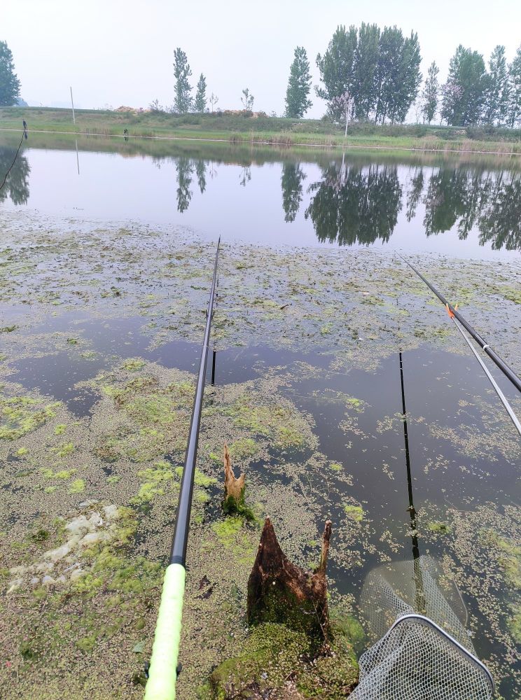 汉鼎全能战6.3米28调鱼竿测评,汉鼎全能通杀饵料