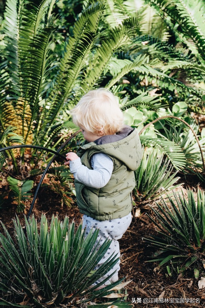 宋词大气男孩取名带耀,男孩涵养大气名字唐诗宋词