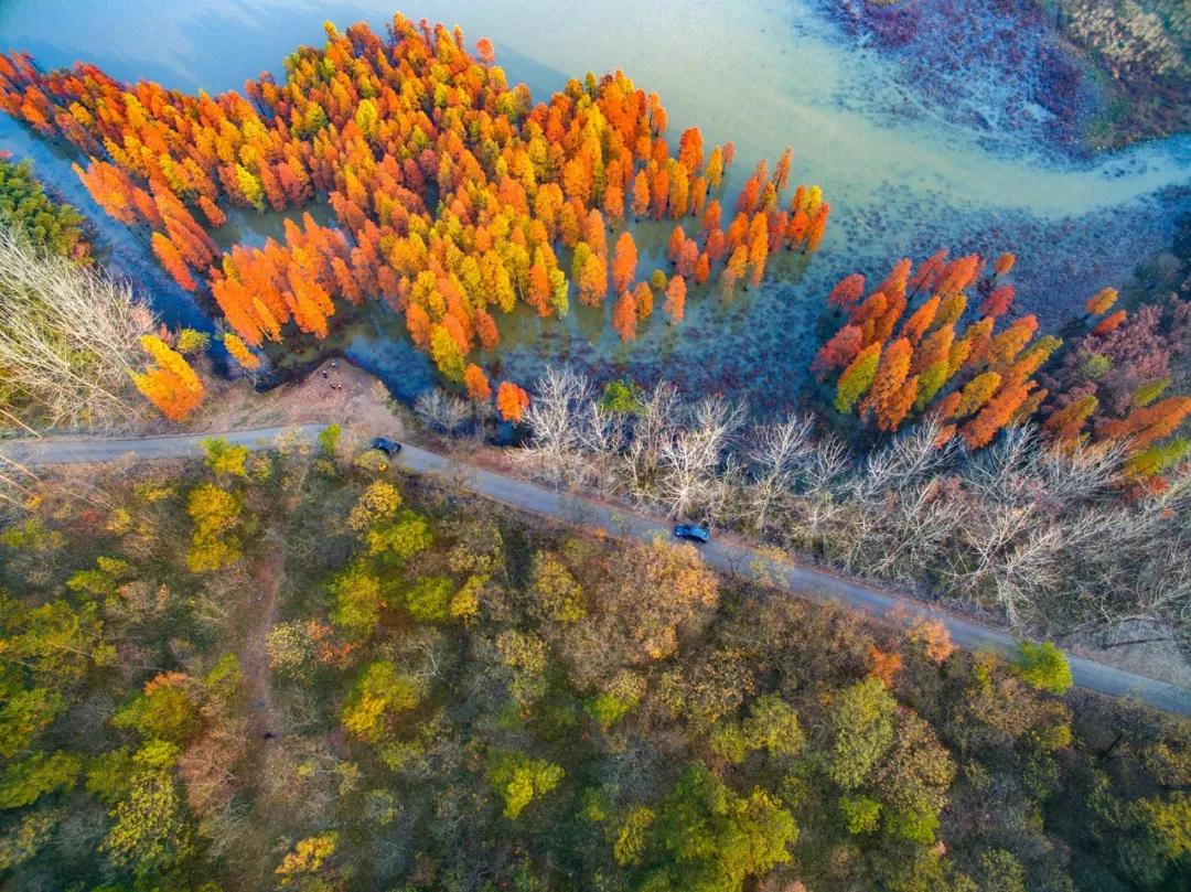 南京是属于哪个省的,南京是现在的哪个城市