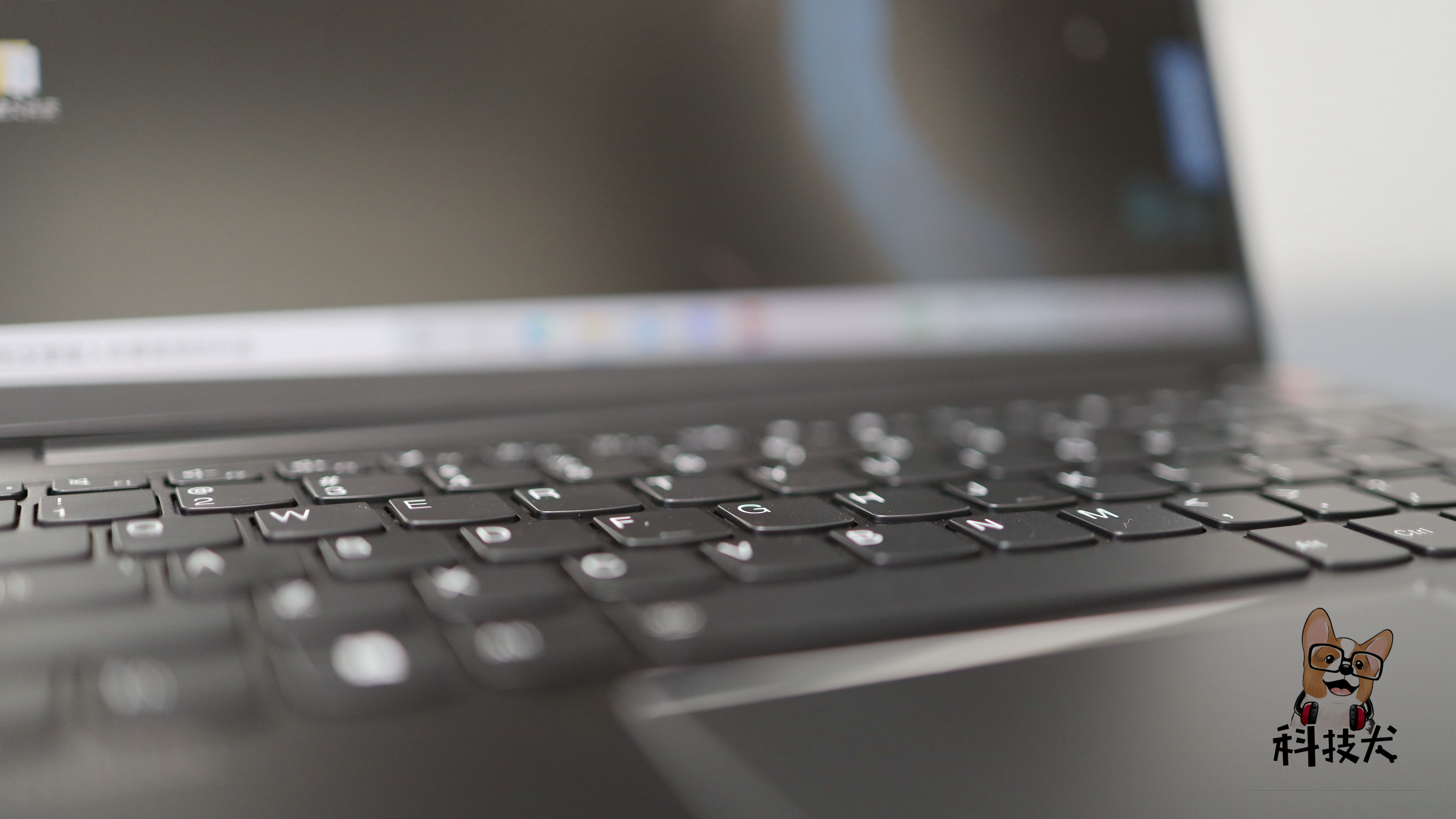 柯基狗幼犬多少钱一只,柯基犬最值得买的耳机