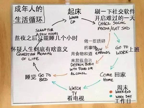 鑹鸿鐢熸椿,鑹鸿