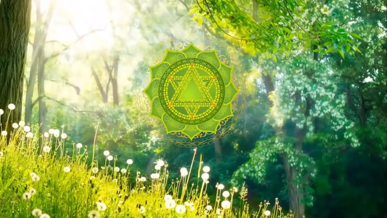 一花一世界一叶一菩提下半句,一花一世界一叶一菩提全诗