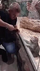 鎼炵瑧gif娈靛瓙濡瑰瓙浣犲お鐨簡,鎼炵瑧gif娈靛瓙濡瑰瓙鏈夌偣澶窐姘斾簡