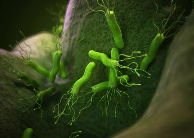 如何养胃7种方法全方面护胃,有胃病如何正确养胃