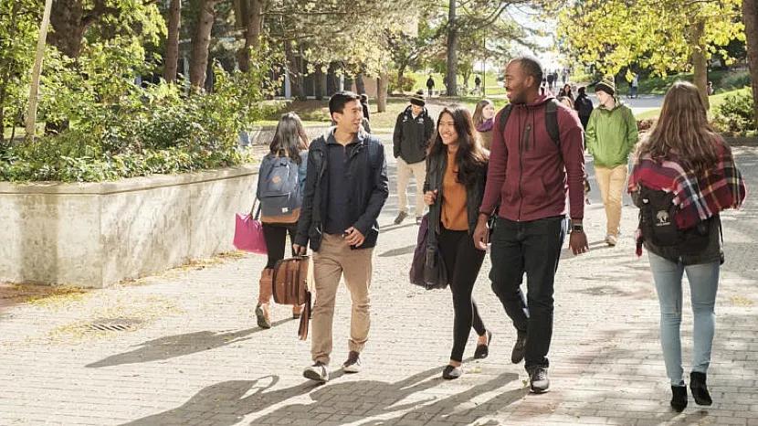 麦克马斯特大学加拿大最新排名,2020年加拿大约克大学排名