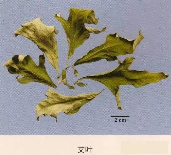 中药材图片大全大图带药名,200多味中药材图谱带图