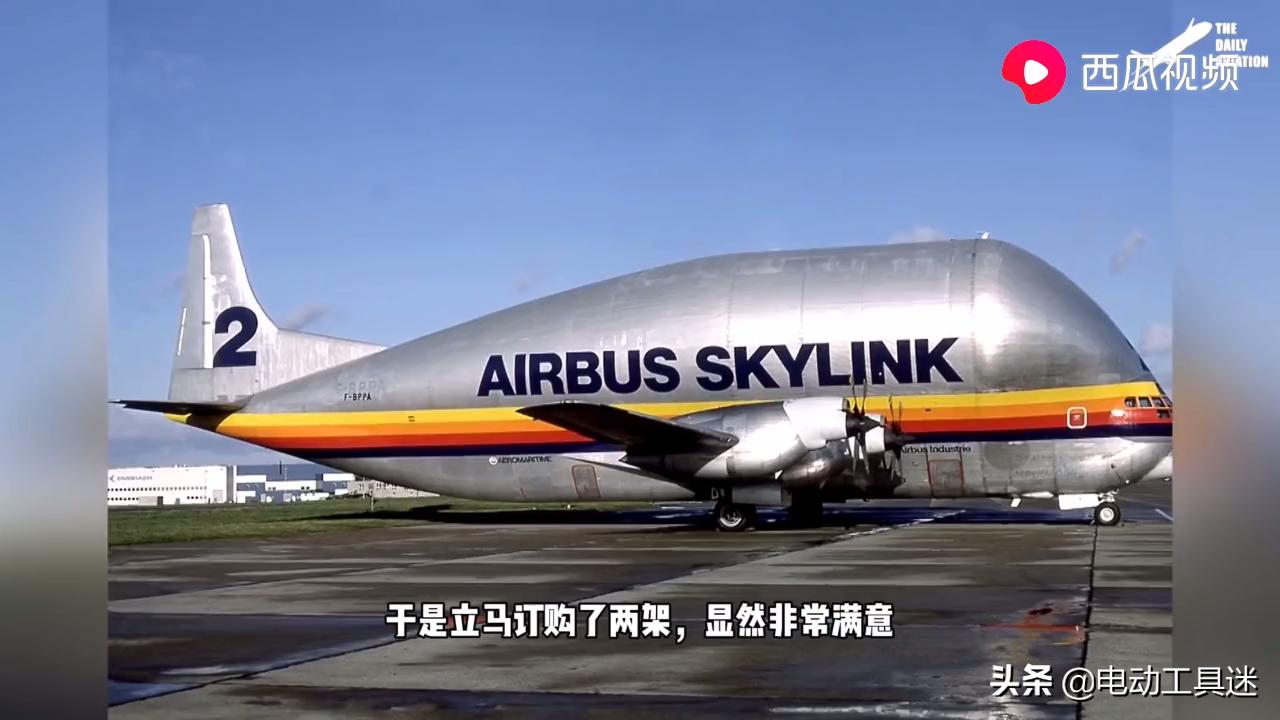 刷新你的知识体系，西瓜视频解析：史上最奇葩的飞机超级古比鱼