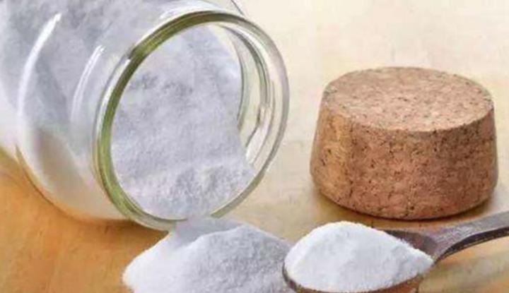 狗狗舌头溃疡用什么药,狗狗溃疡吃什么食物好得快