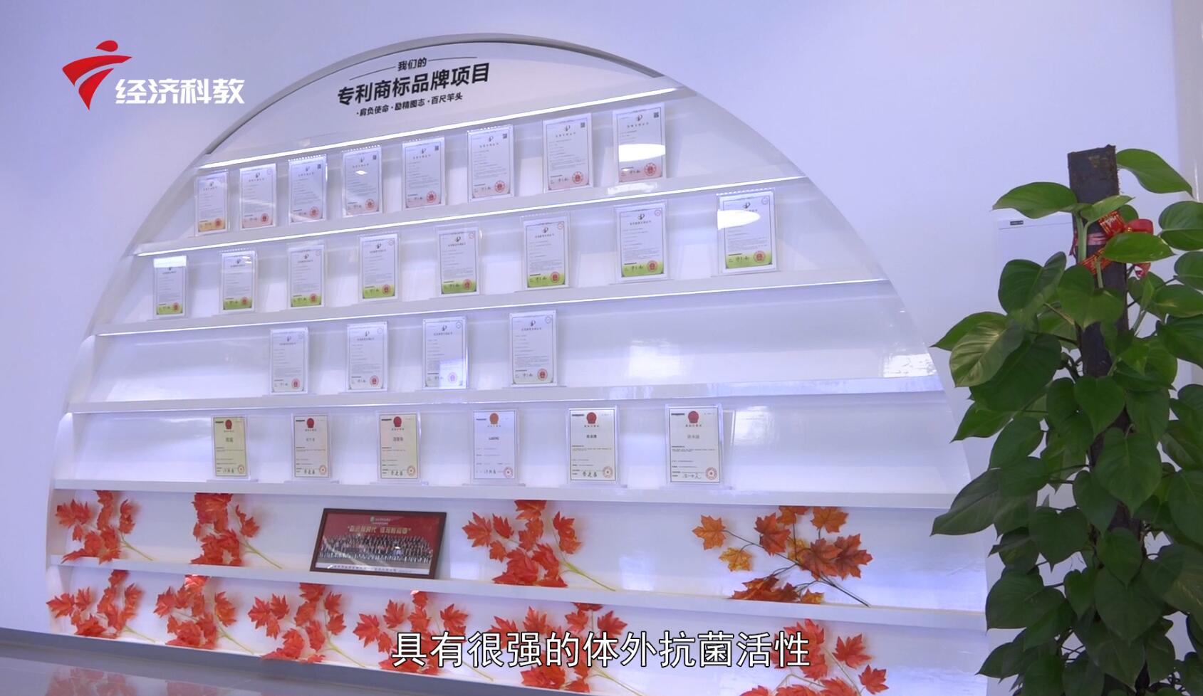 广东疫情央视新闻,广东新闻防控疫情特别节目