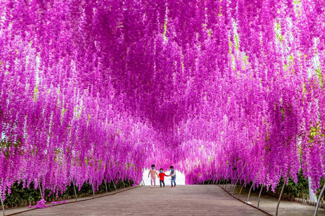 走向我们的小康生活微电影,走向我们的小康生活中国画