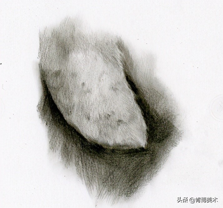 动物毛发素描,素描如何表现动物毛发