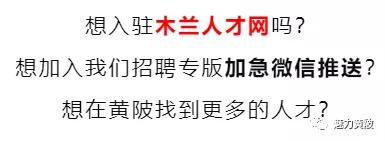 木兰县人才市场招聘,秋季招聘最新信息2024