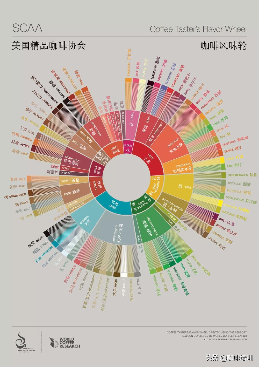 咖啡知识新手如何描述咖啡风味,咖啡知识各类咖啡的风味认识