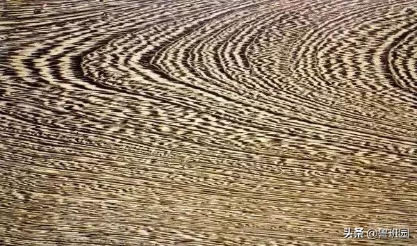 鸡翅木质感,鸡翅木真正的颜色