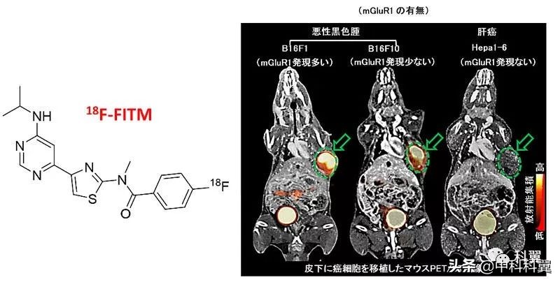 恶性黑色素瘤靶向药效果,恶性黑色素瘤靶向药