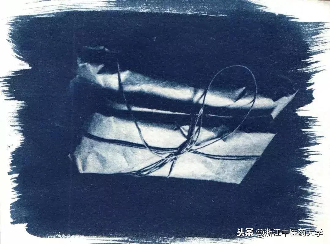 用镜头诉说中医药之美