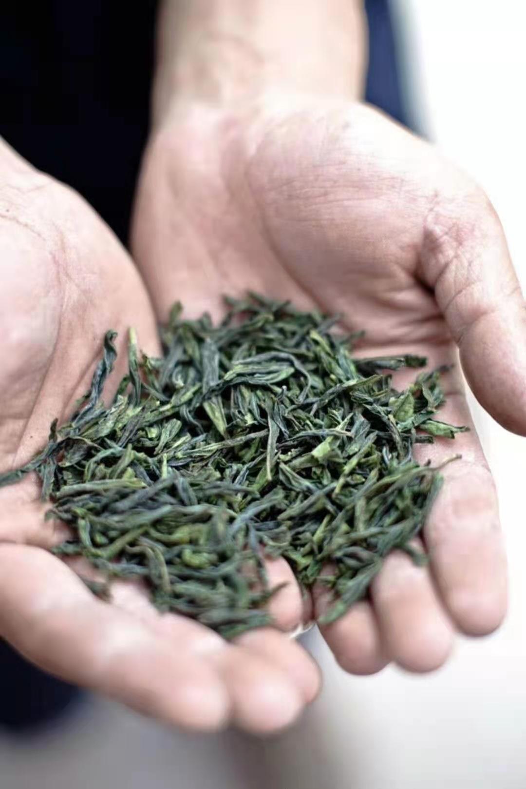 安徽名茶多少钱一斤六安瓜片,六安瓜片属于安徽名茶吗