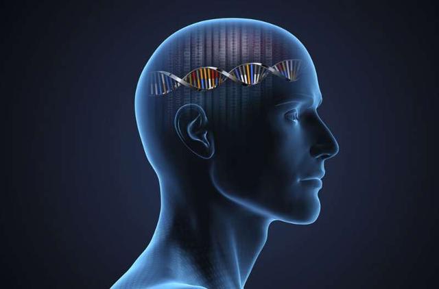 奇妙的基因方向,奇妙的遗传基因