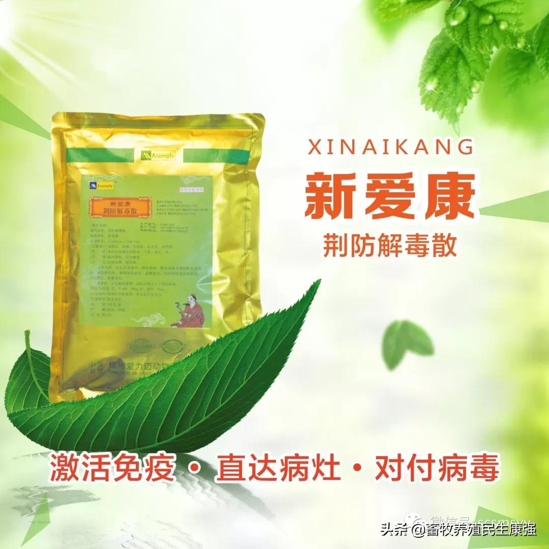 猪圆环病毒和副嗜血杆菌的关系,蓝耳病与猪圆环病毒