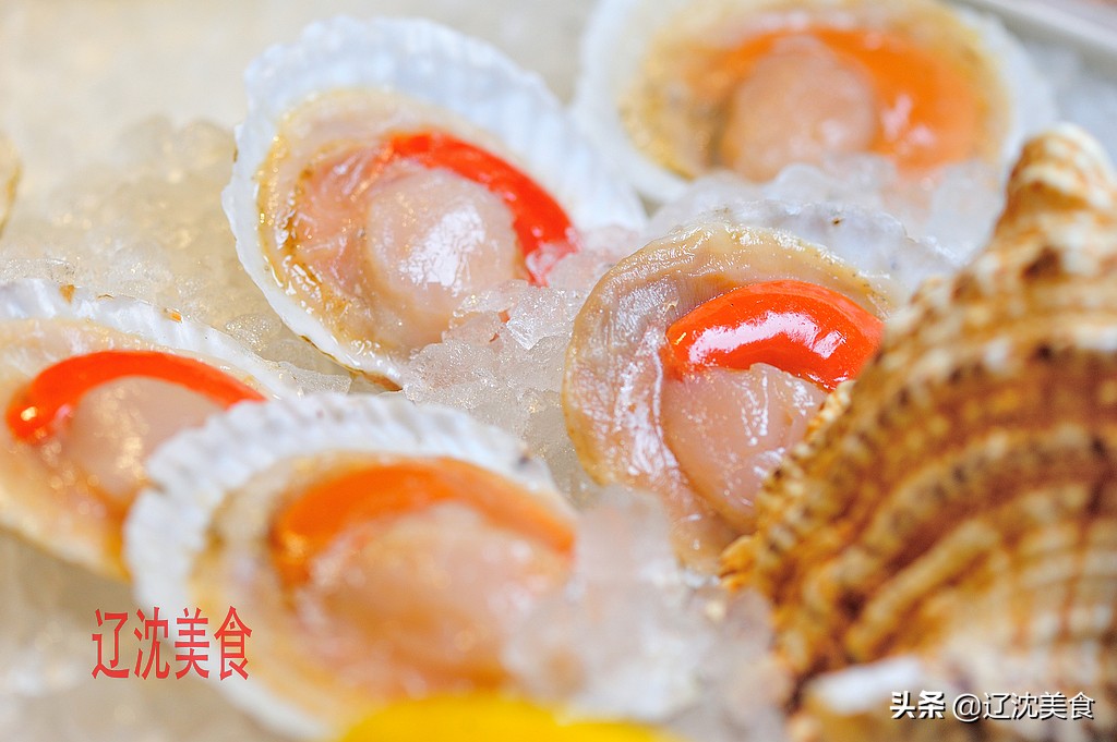 沈阳好吃的海鲜烤肉自助攻略,沈阳鲜羊烤全羊