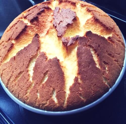 初学烘焙怎么调烤箱温度,烘焙烤箱温度如何掌控