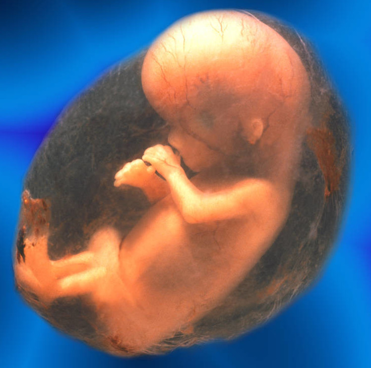 《仁和孕事》孕期常识之怀孕第十周