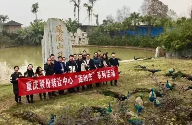 重庆股份转让中心在哪呢,重庆股份转让中心是什么