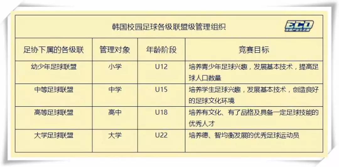 中韩足球最新战报,中韩足球赢了还是输了