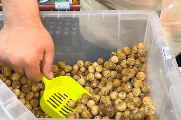 马大嫂无锡,马大嫂小卖部