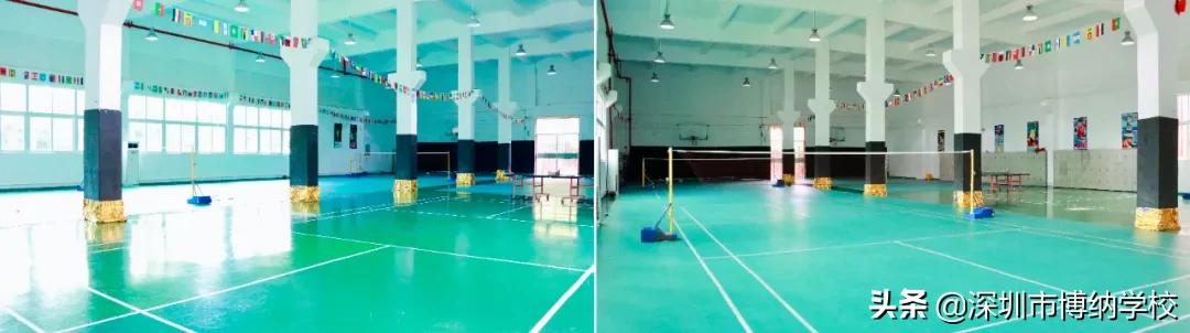 深圳南山这所宝藏国际学校，带你去打卡