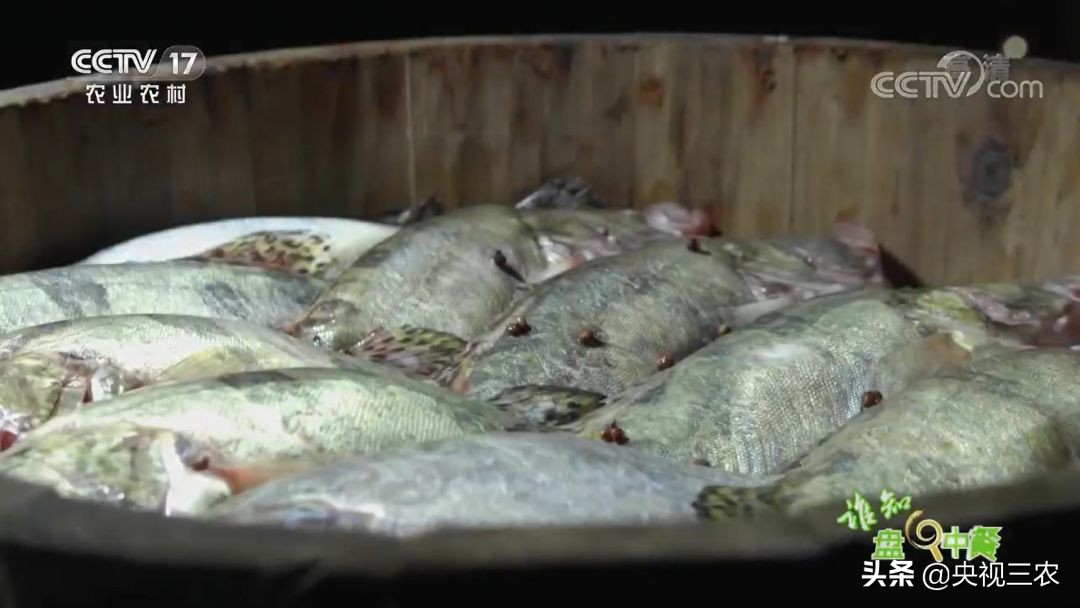 又臭又贵的臭鳜鱼,臭鳜鱼和桂鱼哪个贵呢