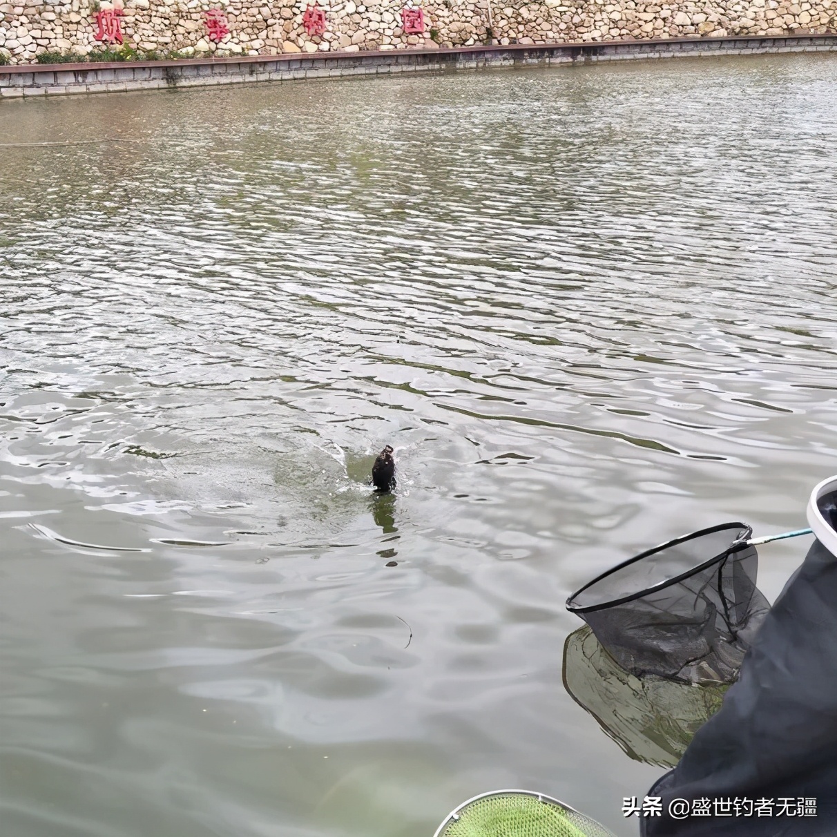 钓鱼的线组和子线怎么选择,钓鱼线组跟子线怎么选择