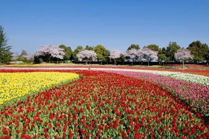 不一样的旅行完整版视频,不一样的旅行全集视频