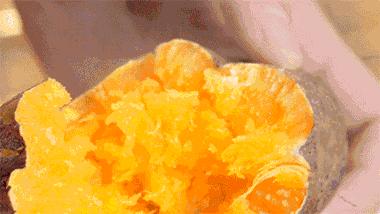 地瓜与红薯哪个更好吃,番薯红薯是同一种吗