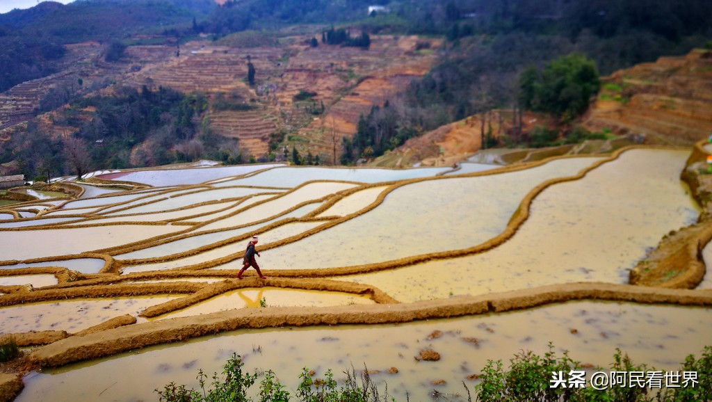 云南普者黑元阳坝美6天旅游攻略,云南建水普者黑旅游路线