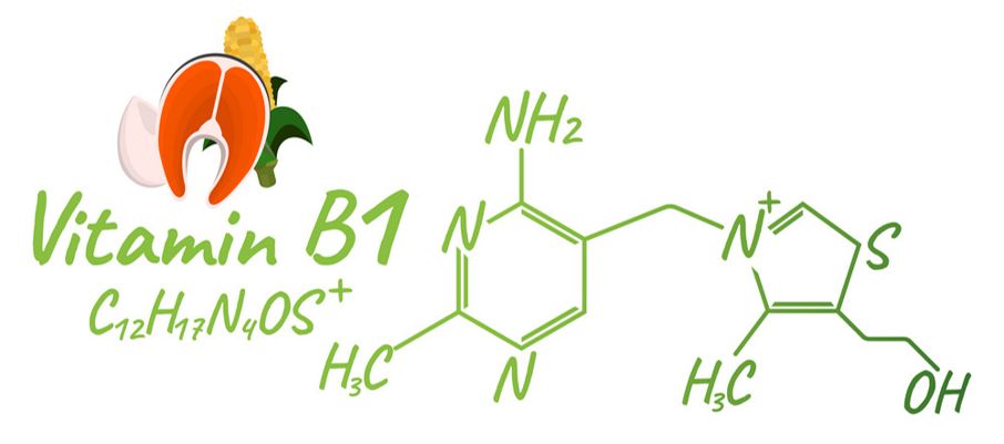 猫咪维生素b补多了有什么坏处,猫咪维生素补多了会怎样