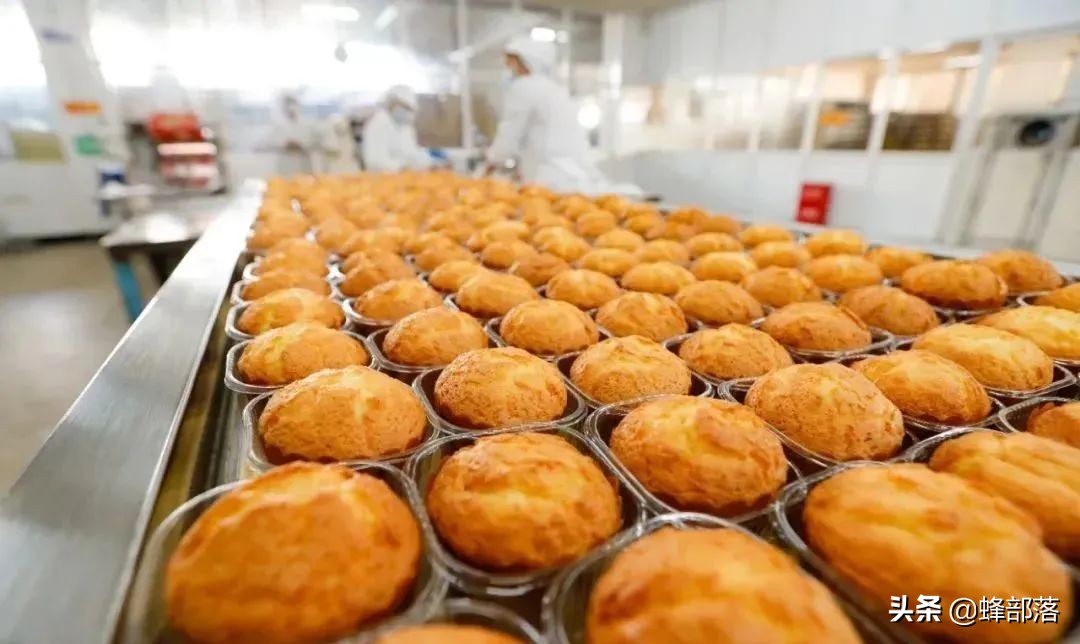 农村冷门投资好项目,当前农村投资最赚钱的行业有哪些