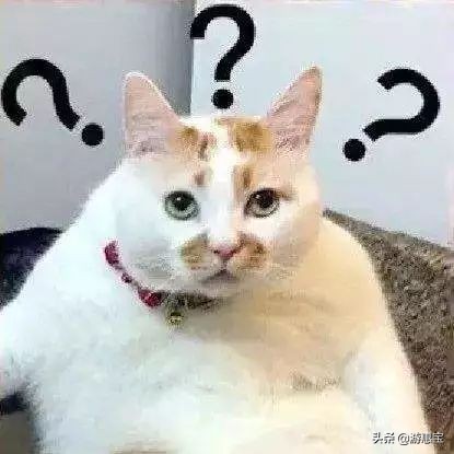 美心月饼假冒事件,2020美心月饼假冒事件