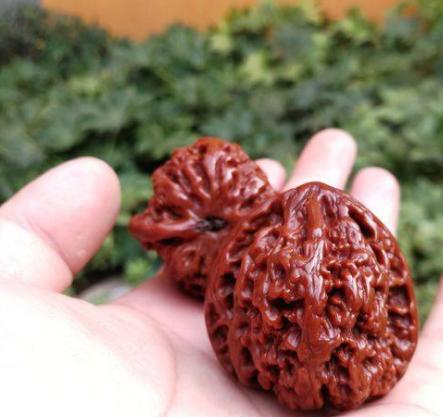 文玩核桃怎么刷才正确,核桃王用的什么文玩刷子刷核桃