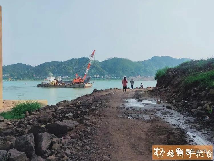 河西防洪堤“全线升级”！防洪功能和景观水平将大大提高你期待吗