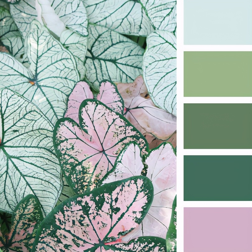 最佳紫色配色,柔和颜色搭配表及效果图片