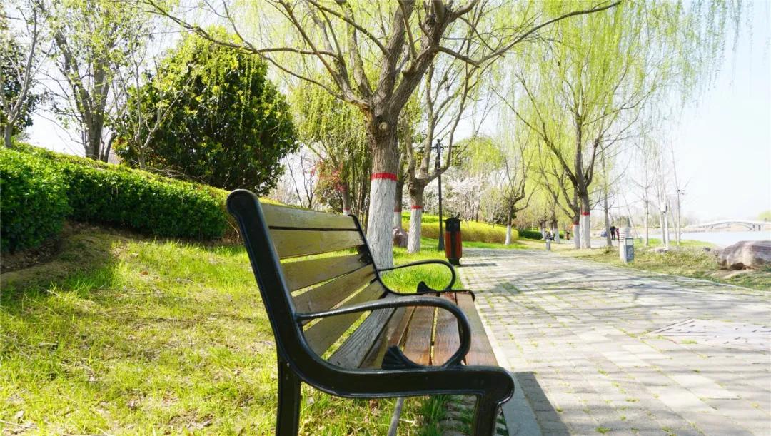 郑州免费游玩公园推荐,郑州新公园开放了吗