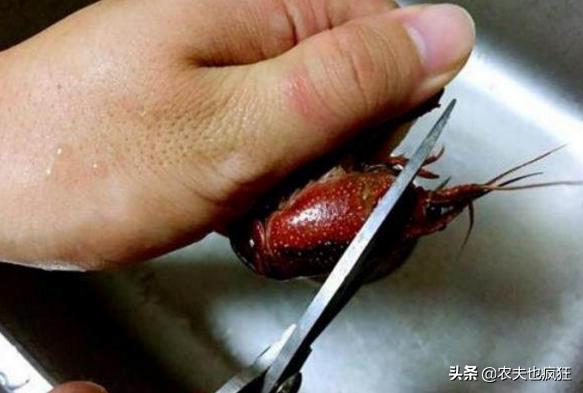 小龙虾怎么清洗最简单的方法,清洗小龙虾的简单正确方法